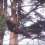 Grimpe d'arbres et sports de pleine nature
