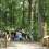 Sentier de découverte sur la forêt