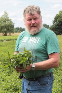 Producteur plantes medicinales