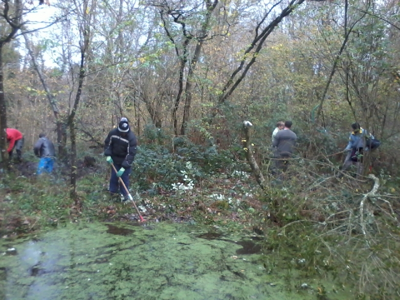 Chantier mare de platiere Ormesson (1)