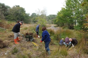 mare-acheres-chantier-octobre-2016-1-web